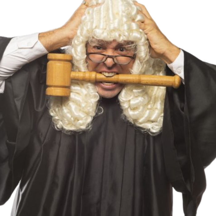 Juge enrage droit justice cour personnage drole comic caracters funny humor gag joke entertainement 735x475 1
