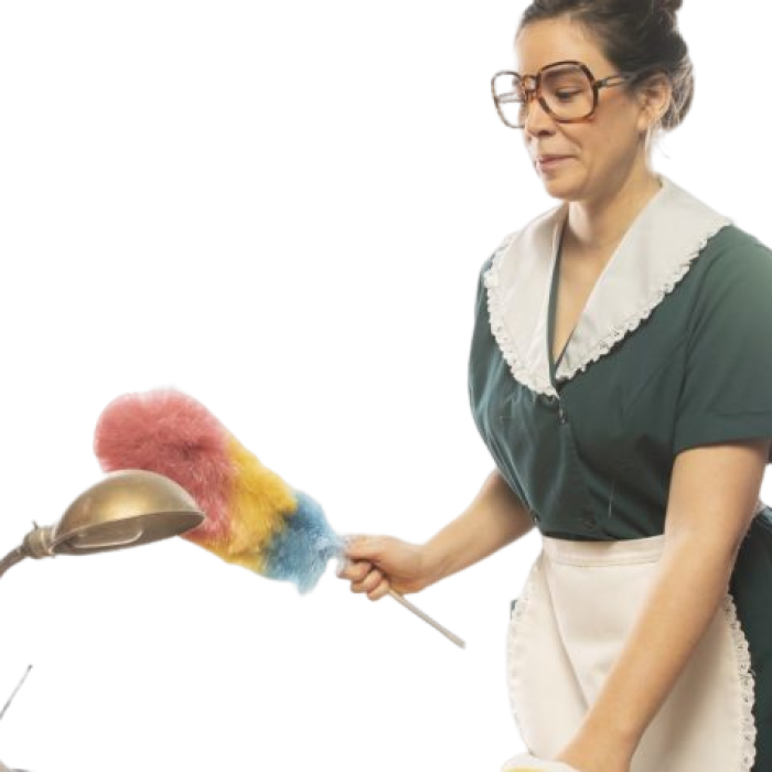 good housekeeper clean clean housewife character funny comic characters funny humor gag joke entertainment 735x475 1