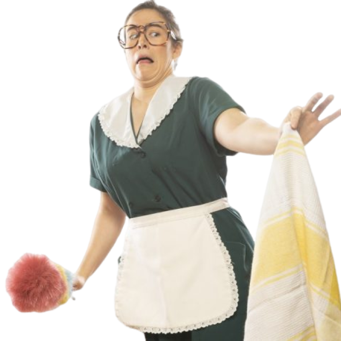 maid cleaning lady maid clean character funny comic characters funny humor gag joke entertainment 735x475 1 e1703756219300