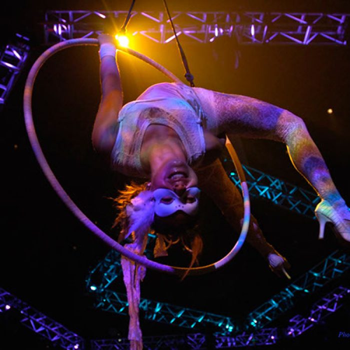 hoop circus show 13433603555 o